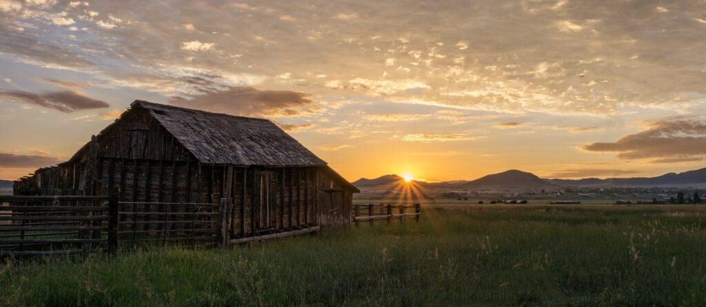 Altes Stallgebaeude im Sonnenaufgang | Stalleinrichtung